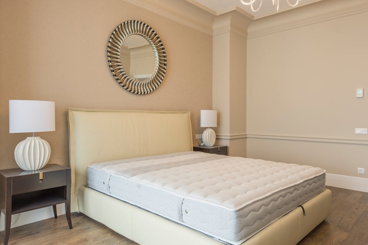 Bed Bug Treatment